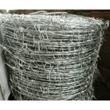 Barbed wire exporter factory